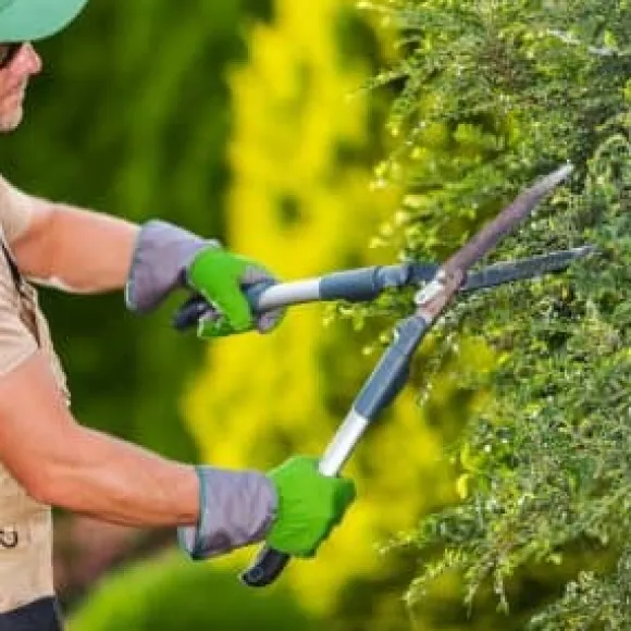Gødning til Thujas, Arborvitaes, Nåletræer, Garden Start 2 kg