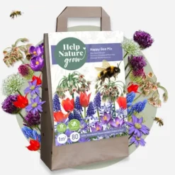 Glad bi - Sæt med 80 - Blomsterløg - Flerfarvet
