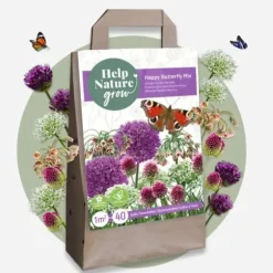 Glad sommerfugl - Sæt med 40 - Allium, Nectaroscordum - Blomsterløg - Flerfarvet