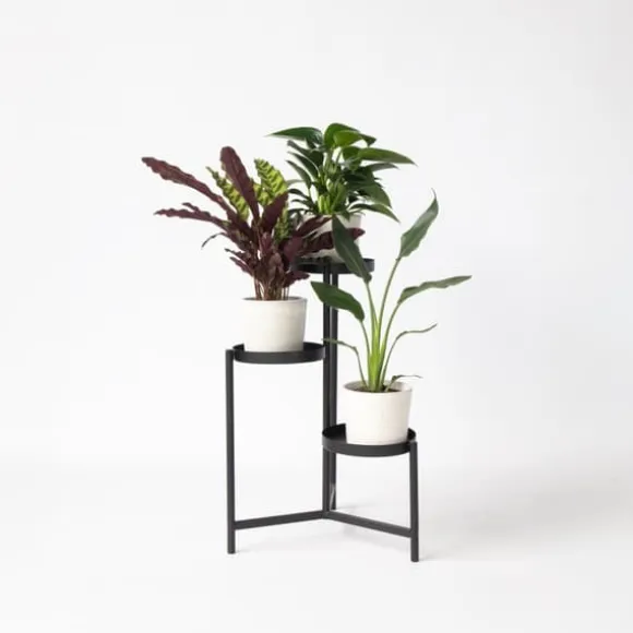 Grøn indendørs blanding - Sæt med 3 - Højde 25-40cm - ⌀12cm