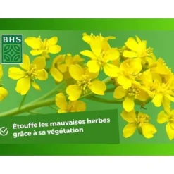 Gröna gödselmedel - BHS - Vit senap 500g | 100 m² | Förbättrar och desinficerar jordar för bättre fertilitet.