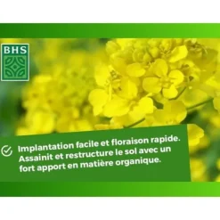 Gröna gödselmedel - BHS - Vit senap 500g | 100 m² | Förbättrar och desinficerar jordar för bättre fertilitet.