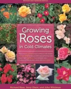 Growing Roses in Cold Climates