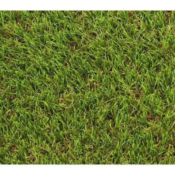 Gräs - EXELGREEN - 124414 - Natura 2D - 38mm / 1 x 5 m