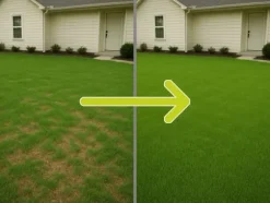 Græs 5kg SOS Regenerative Græsfrø til Eftersåning 200m2 Egarden