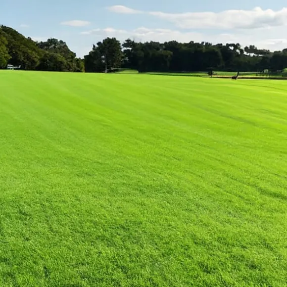 Græs 5kg SOS Regenerative Græsfrø til Eftersåning 200m2 Egarden