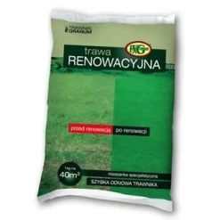 Græs som malet - Renoveringsblanding 1 kg FNGranum