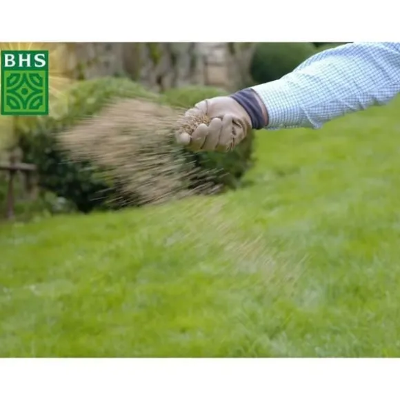 Græsplæne - BHS - Græsplænegenvækst 5 kg