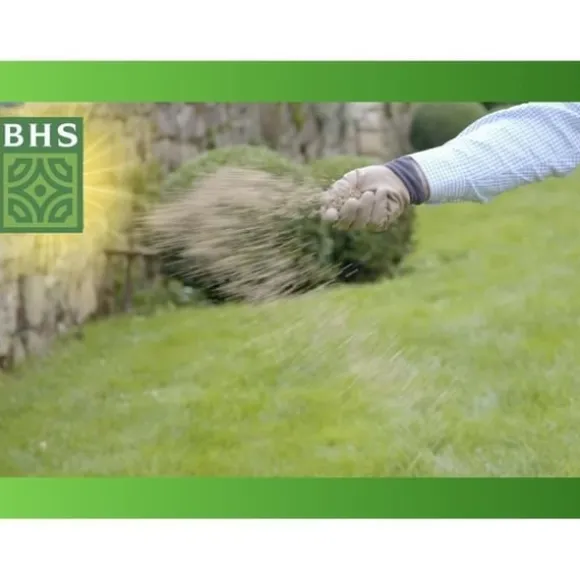 Græsplæne - BHS - Græsplænegenvækst 5 kg