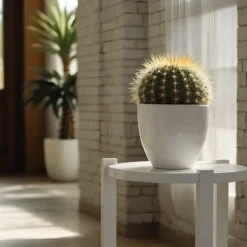 Guldkugle - Echinocactus grusonii - Højde 25-35cm - ⌀25cm