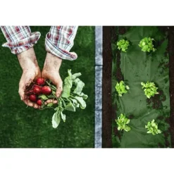 Haveagrotekstil 1,6 m x 100 m 90 g/m2 + 100 Plonos-nåle - sort og grøn