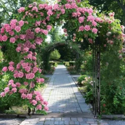 Havebue & Espalier - Gotisk Bue - 216 cm Høj - Pulverlakeret Jern - Til Klatreplanter & Bryllup - Udendørs - Sort