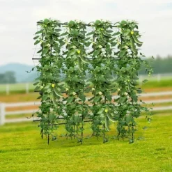 Havebue - Espalier med net - Rustbestandigt stål & PE - Mål 180×30×180 cm - Rør Ø16 mm - Til klatreplanter - Sort