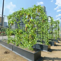 Havebue Espalier - Metal Plantestativ - 160 cm Høj - Pulverlakeret - Til Klatreplanter & Agurker - Udendørs Bue/Tunnel - Hvid