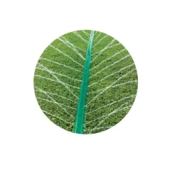 Haveslange Sprinkler 15meter
