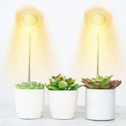 Hexagon Grow Lights til indendørs planter Varm hvid/hvid