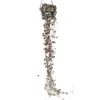 Hjerteranke - Ceropegia linearis Woodii - Højde 20-30cm - ⌀14cm
