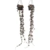 Hjerteranke - Sæt med 2 - Ceropegia linearis Woodii - Højde 20-30cm - ⌀14cm