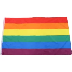 Håndviftende Regnbueflag Banner Polyester Gay Pride Lesbisk Flag med Øjer