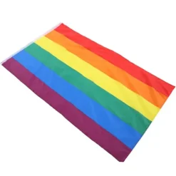 Håndviftende Regnbueflag Banner Polyester Gay Pride Lesbisk Flag med Øjer