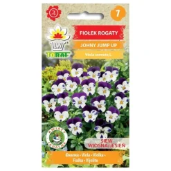 Hornviol frø Johnny Jump Up - Farverig og blomsterrig staude