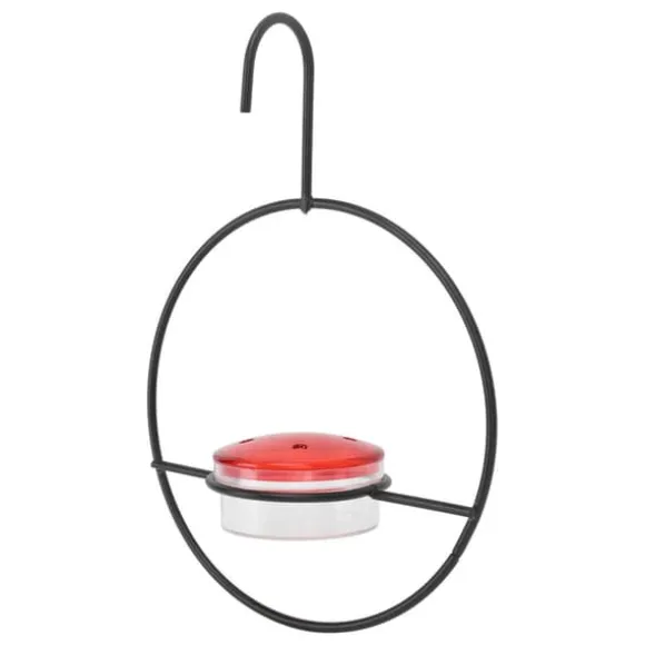 Hummingbird feeder Smuk letvægts hængende fugle feeder med 4 porte til udendørs baghave