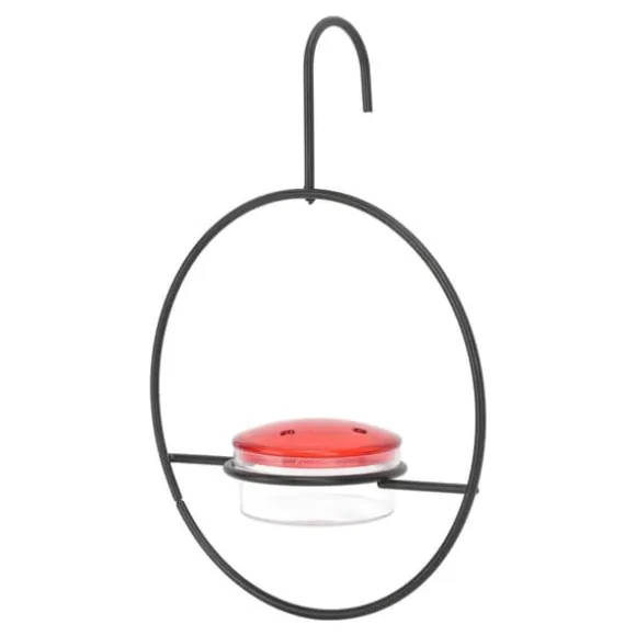 Hummingbird feeder Smuk letvægts hængende fugle feeder med 4 porte til udendørs baghave