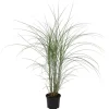 Hvidbroget elefantgræs - Miscanthus 'Kleine Silberspinne - Højde 20-30cm - ⌀23cm