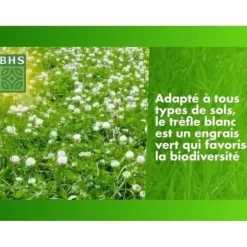 Hvidkløver - BHS - 500 m² | Fremmer biodiversiteten, tilpasser sig alle jordtyper og modstår nedtrampning.