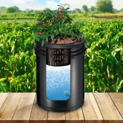 Hydroponisk system, recirkulerende Deep Water Culture 4 spande, 30x30x38 cm, sort, PP-materiale