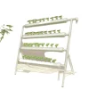Hydroponisk Vækstsæt, 4-Lags Design, 36 Plantningshuller, Effektiv Vandpumpe