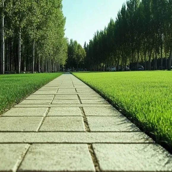 Invest Green Universal Selvkomprimerende Græsblanding 5 kg 200 m²