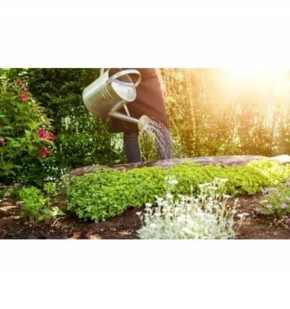 Jord til såning af frø, grunding af kimplanter med kokosfibre 40L PREMIUM