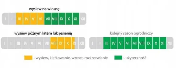 kg selvgødende græs med mikrokløver, tørkeresistent, dekorativ, 200 m2