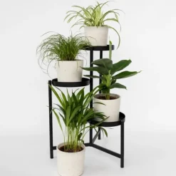 Kæledyrsvenlige stueplanter - Sæt 4 - Pet Friendy Mix - Højde 25-40cm - ⌀12cm