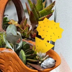 Klistret fælde til insekter med solsikkemønster gul 20-pak