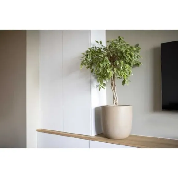 Kulblomkruka - CAPI EUROPE - WASTE SMOOTH NL - 35 x 34 cm - Terrazzo beige