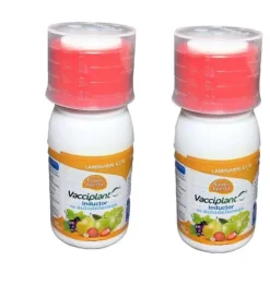 Kulturbeskyttelsesinducer, Laminarin 4,5%, 45 ml volumen, dækning af flere sygdomme,2 beholdere