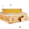 Langstroth Medium Biavl Kittet, 10 Rammer, Akryl Biavlsvinduer, Holdbar Konstruktion, Let at Montere