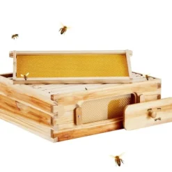 Langstroth Medium Biavl Kittet, 10 Rammer, Akryl Biavlsvinduer, Holdbar Konstruktion, Let at Montere