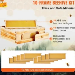 Langstroth Medium Biavl Kittet, 10 Rammer, Akryl Biavlsvinduer, Holdbar Konstruktion, Let at Montere