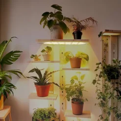 LED lyspaneler til planter - EU-adapter