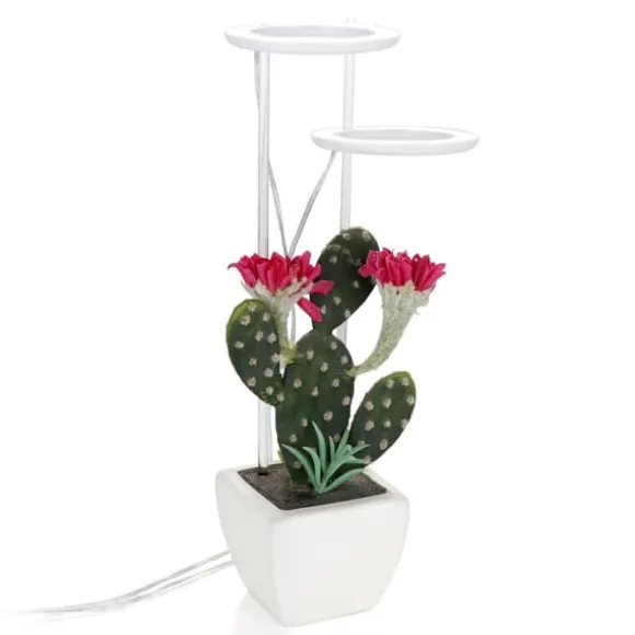 LED Plant Grow Light 5 dimbara lägen Timing USB LED-växtlampa för suckulenter krukväxter