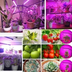 LED -plantebelysning - Dobbelt fuld spektrumplantelampe med klemme