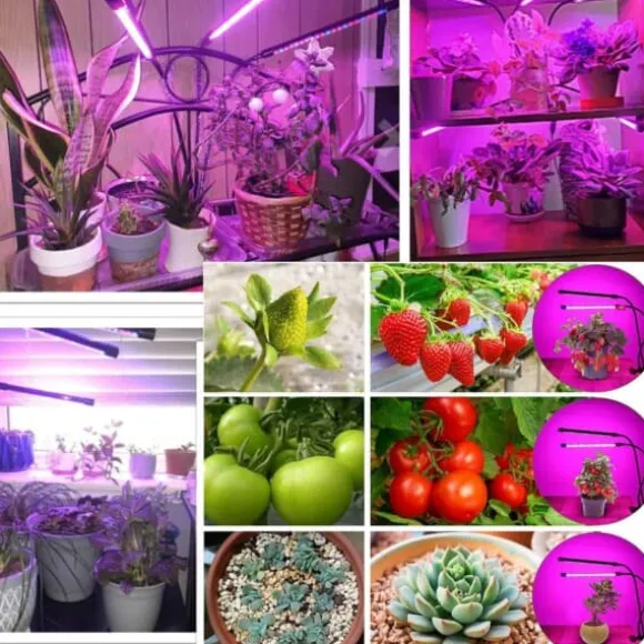 LED -plantebelysning - Dobbelt fuld spektrumplantelampe med klemme