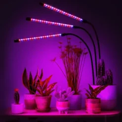 LED plantevækstlampe 60 dioder TIMER 24 W til hjemmedyrkning uden netadapter