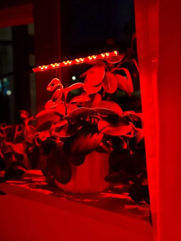 LED plantevækstlampe 20 dioder TIMER 9 W til hjemmedyrkning uden netadapter