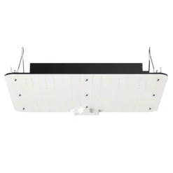 LED vækstlampe, fuldspektrum dæmpbar 150W, 30x40x12 cm, indendørs plantevækst