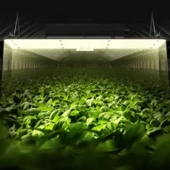 LED Vækstlys, 200 W fuldspektret dæmpbar, højtydende Samsung dioder til indendørs planter i væksttelt. Daisy chain driver til 2x4/3x3 ft.