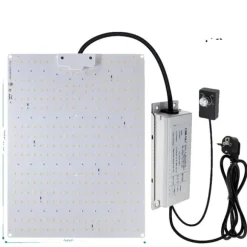 LED Vækstlys, Fuldspektrum, Phyto Vækstlampe,100W